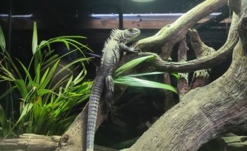 BIOPARC Acuario de Gijón