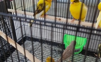 Waterford Feed & Pet Barn