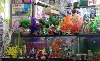 Acuario Las Güeras