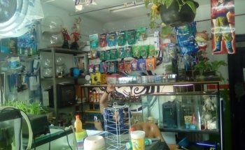 Petshop y Acuario Piscis