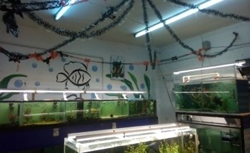 Petshop y Acuario Piscis