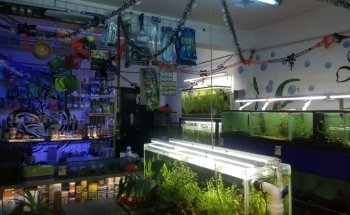 Petshop y Acuario Piscis