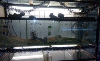 Petshop y Acuario Piscis