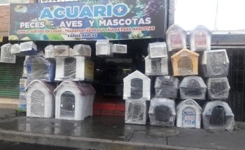 Acuario Ocean Reef