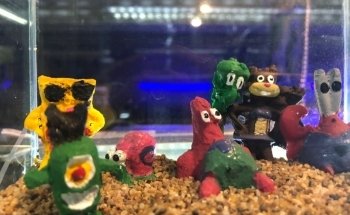 Accu-Pez