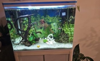 Radley's Pet and Aquarium