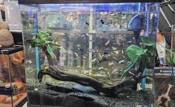 Aqua-Terra Pet Shop, Acuario & Accesorios de Mascotas