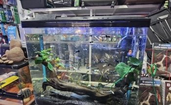 Aqua-Terra Pet Shop, Acuario & Accesorios de Mascotas