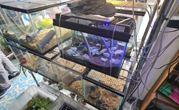 Aqua-Terra Pet Shop, Acuario & Accesorios de Mascotas