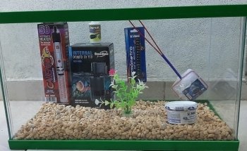 Aqua-Terra Pet Shop, Acuario & Accesorios de Mascotas