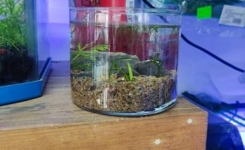 Aqua-Terra Pet Shop, Acuario & Accesorios de Mascotas