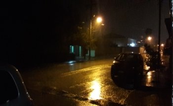Patlán Peces & Acuarios