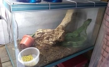 Acuario World Fish Store