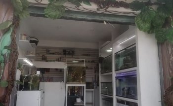 Acuario World Fish Store