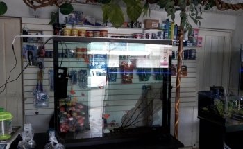 Acuario World Fish Store