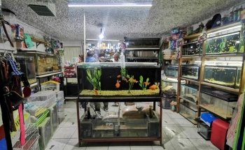 Acuario World Fish Store