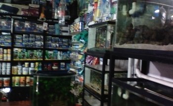 Acuario el Delfín de Cuernavaca
