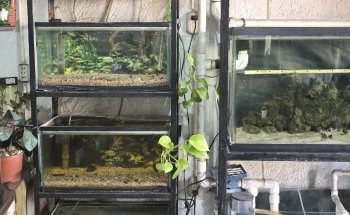 Acuario el Delfín de Cuernavaca