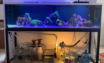 Blue World Aquarium