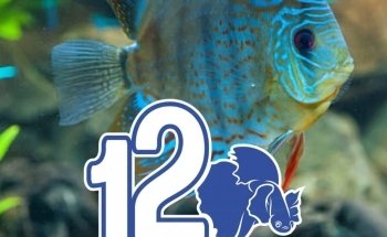 Blue World Aquarium