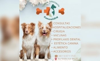 Clínica Veterinaria Consentidog