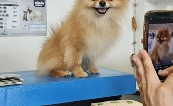 PET HOUSE Acuario, Grooming Y Accesorios