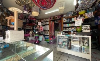 Estética y Veterinaria Canina El Sahueso