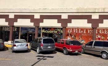 WM Pets Aquarium