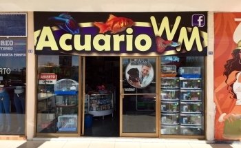 Acuario Mascotas WM