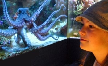 Solitary Islands Aquarium