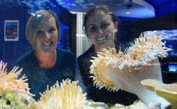 Solitary Islands Aquarium