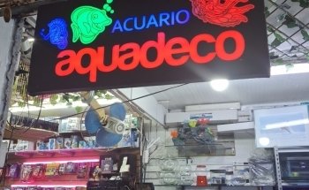 Acuario Aquatarkus