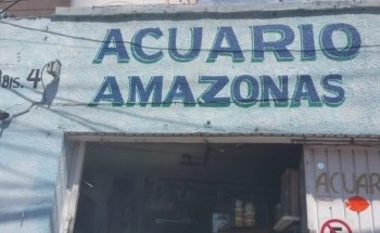 AMAZONAS Aquarium