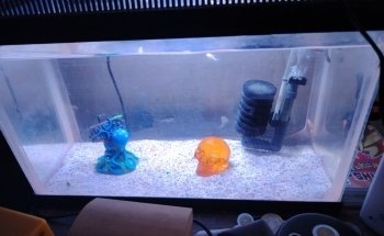 Acuario Arrecife