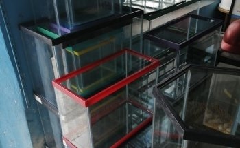 AQUARIO MUNDO MARINO