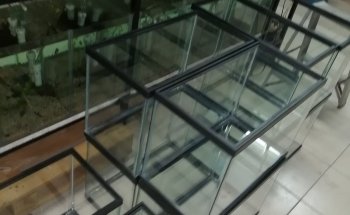 AQUARIO MUNDO MARINO