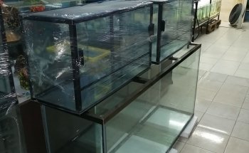 AQUARIO MUNDO MARINO