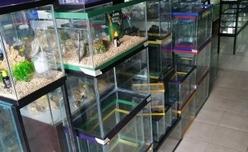 AQUARIO MUNDO MARINO