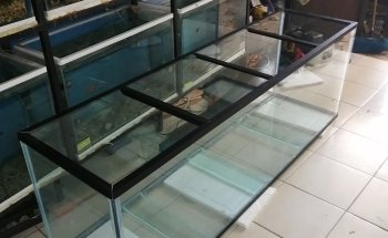 AQUARIO MUNDO MARINO