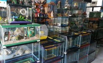 AQUARIO MUNDO MARINO