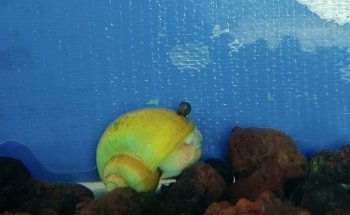 Veterinaria y Acuario Medivet