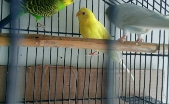 Veterinaria y Acuario Medivet