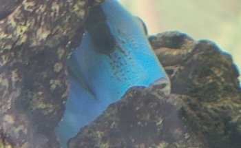 Veterinaria y Acuario Medivet