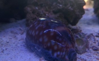 Veterinaria y Acuario Medivet