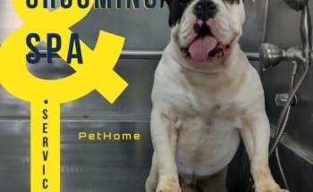 PetHome