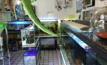 Aquadom