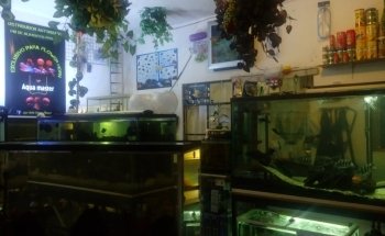 AQUADOM