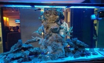 ACUARIO ROSARIO