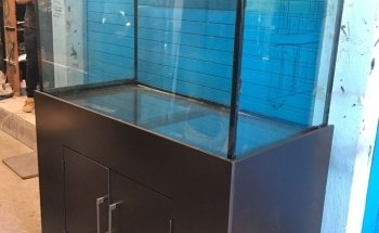 ACUARIO ROSARIO