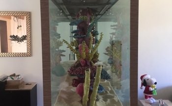 ACUARIO ROSARIO